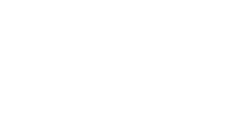 Logo AMF Import